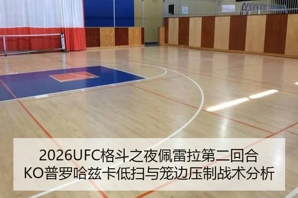 ge-dou-zhi-ye-pei-lei-la-di-er-hui-he-pu-luo-ha-zi-ka-di-sao-yu-long-bian-ya-zhi-zhan-shu-fen-xi-3-605.jpg